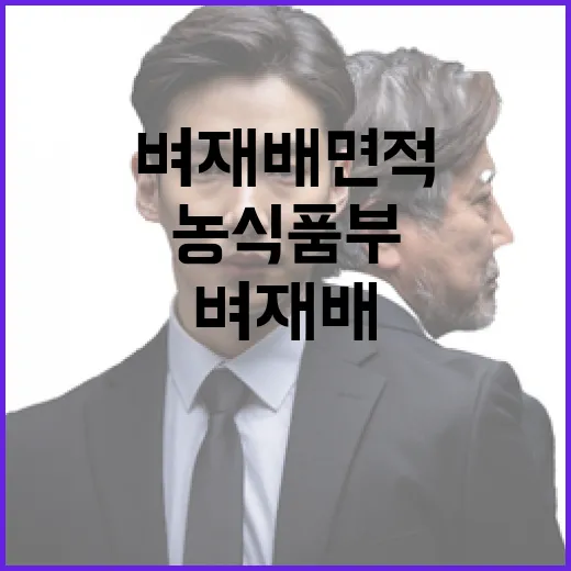 벼 재배 면적 농식품부의 사실무근 주장 밝혀진다!