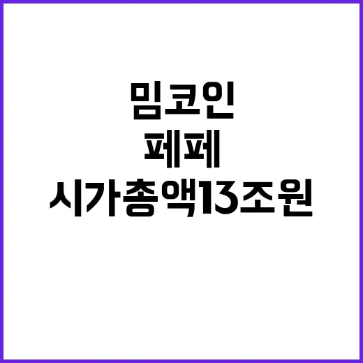 페페 밈코인 시가총…