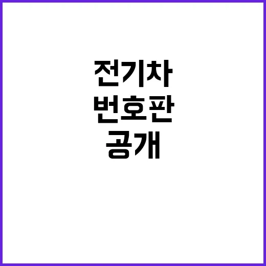 전기차 번호판, 색상과 디자인 개선 계획 공개!