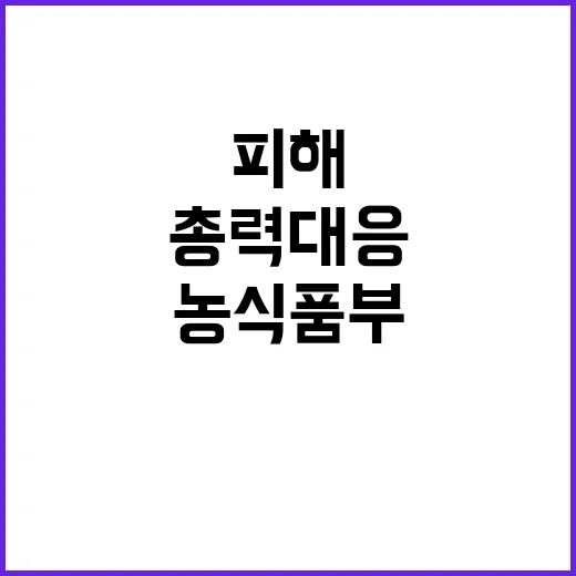 폭염 피해, 농식품부의 총력 대응 전략 공개!