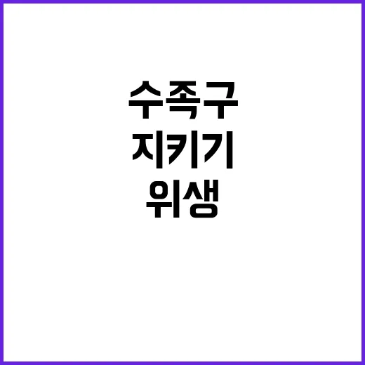 수족구, 철저한 개인위생으로 안전 지키기!