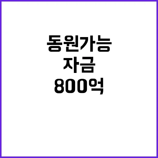 800억 동원 가능…