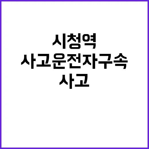 시청역 사고 운전자…