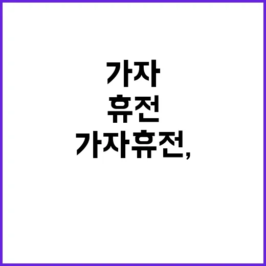 사격 김예지, 쓸쓸한 눈으로 해외 '밈스타' 조명