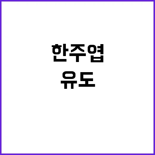 유도, 한주엽의 절반승! 8강 진출 비결은?