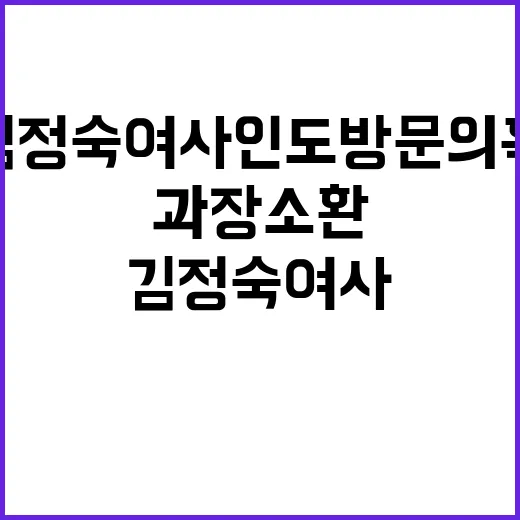 김정숙 여사 인도 방문 의혹, 과장 소환决定!