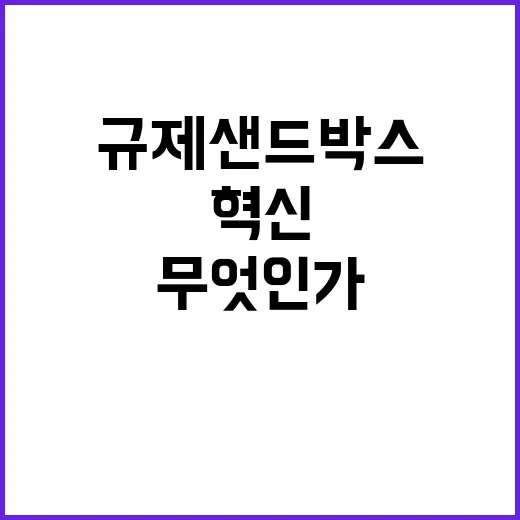 규제샌드박스, 혁신…