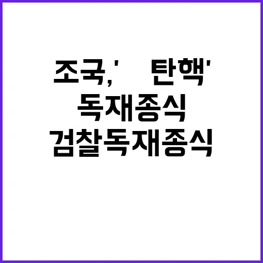 조국, 