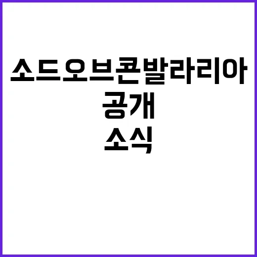 소드 오브 콘발라리아, 국내 출시 소식 공개!