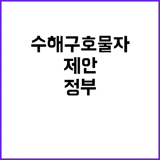 수해 구호물자, 정…