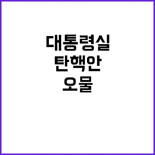 탄핵안 통과, 대통…