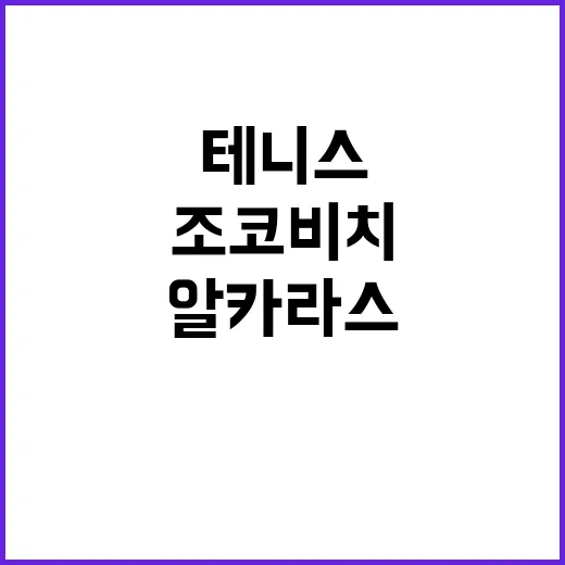 테니스 결승, 조코…