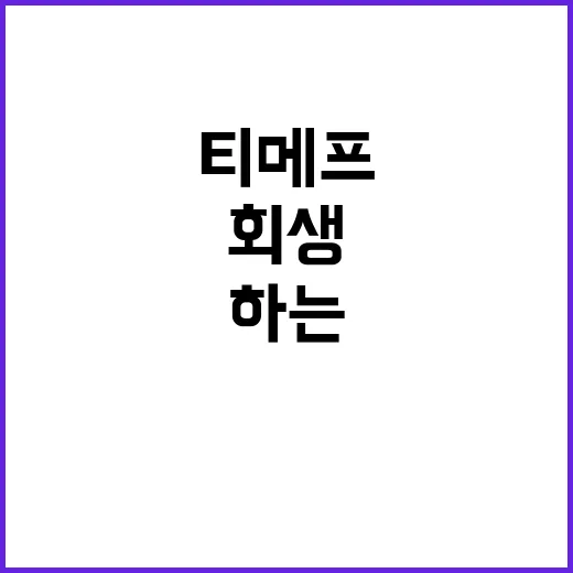 티메프 대표, 회생…