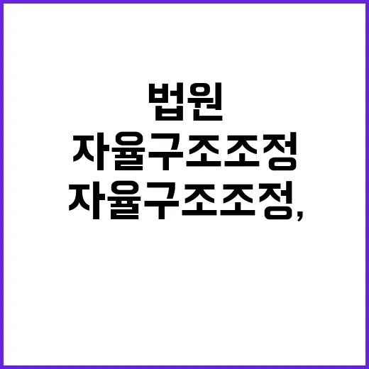 자율구조조정, 법원 한달 시간 부여 결정!