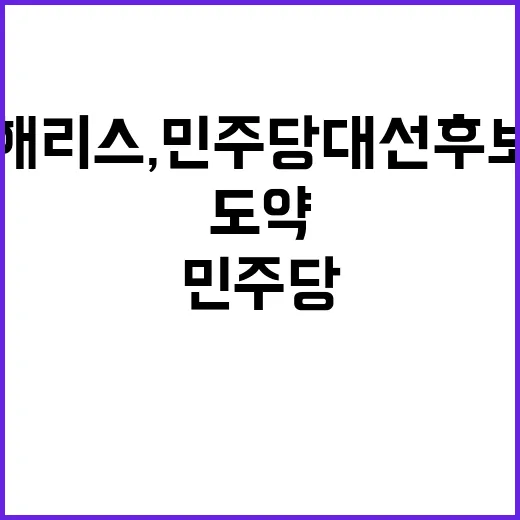 해리스, 민주당 대…