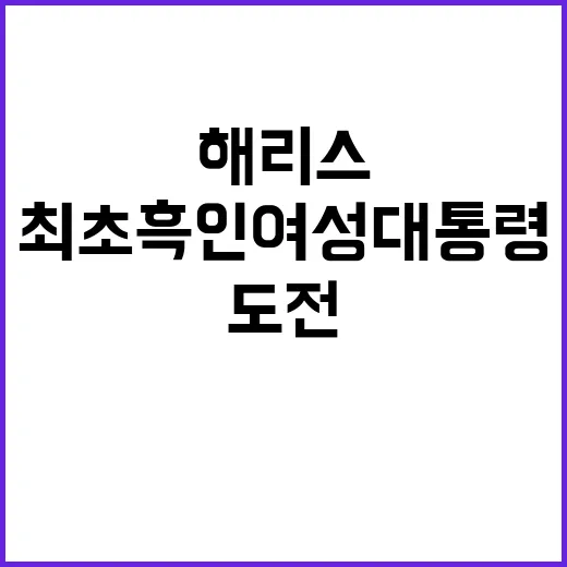 해리스, 최초 흑인…