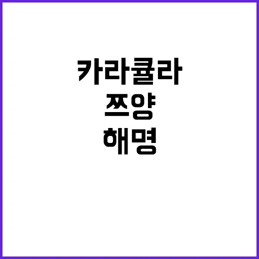 카라큘라 구속, 쯔양 해명…핫이슈의 모든 것!