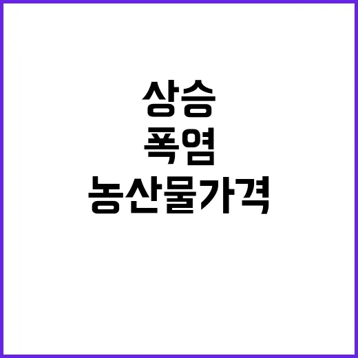 폭염 농산물 가격 상승, 가축 피해 우려 증폭!