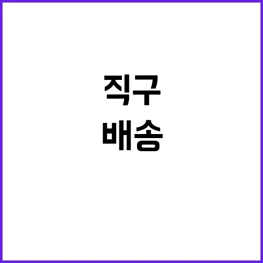 직구 피해…배송 중…