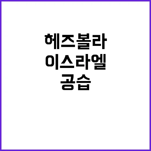 헤즈볼라 공습, 이…