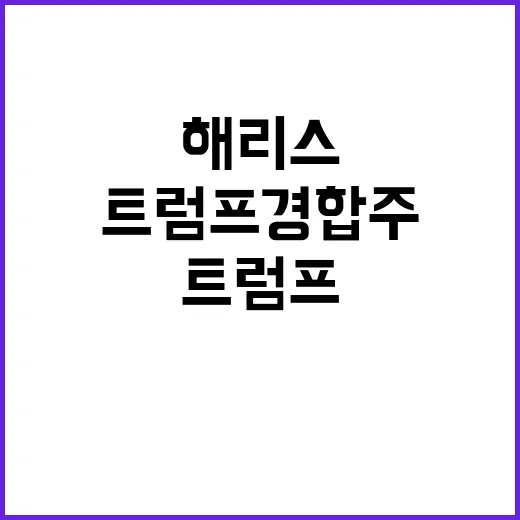 해리스 선출, 트럼…