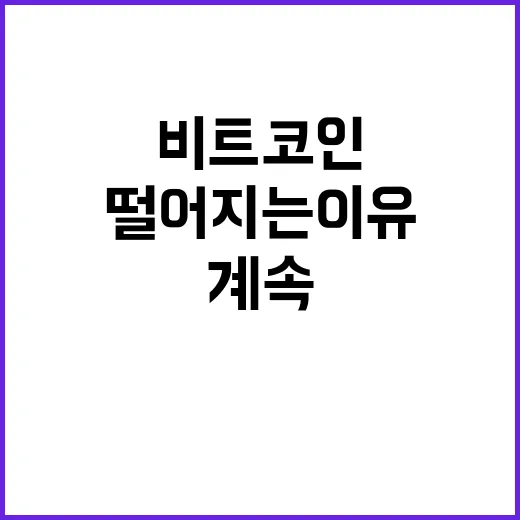 비트코인, 계속 떨어지는 이유는 무엇일까?