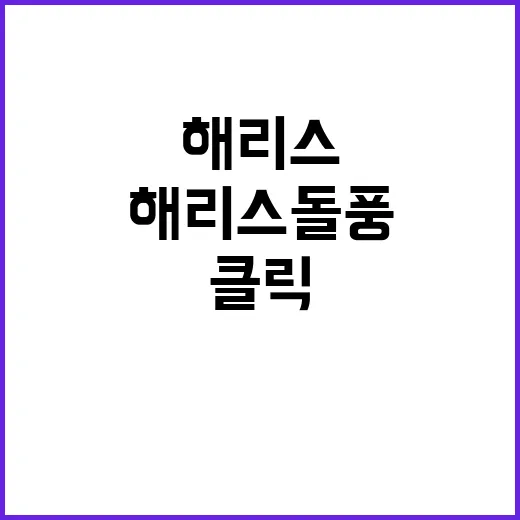 ‘해리스 돌풍’ 미…