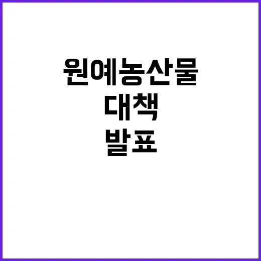 원예농산물, 중장기 대책 연말까지 확정 발표!