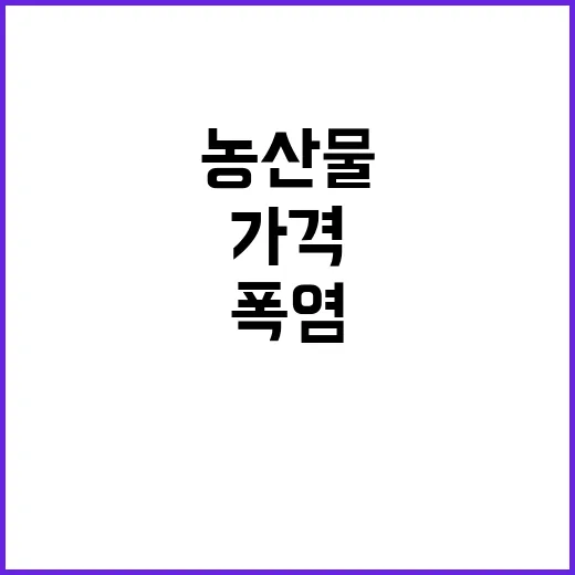 농산물 가격, 폭염…