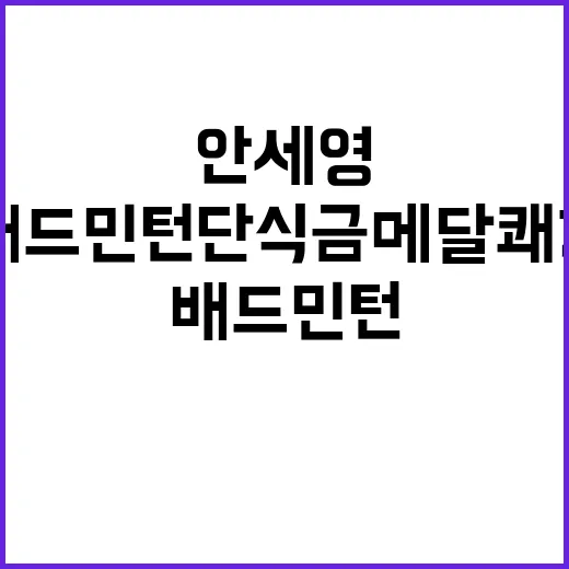 안세영, 배드민턴 …