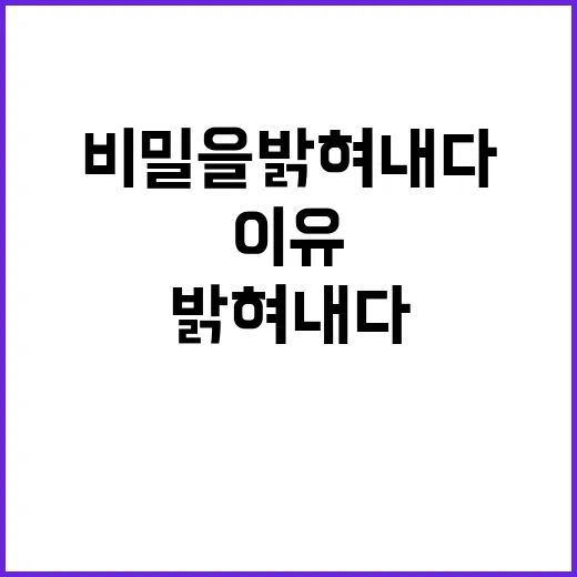 월가의 나무, 이유…