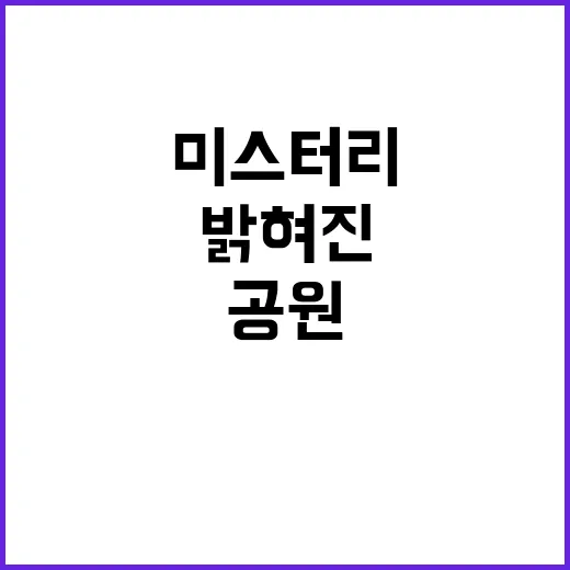 ‘새끼 곰 미스터리’, 중앙 공원에서 밝혀진 진실!