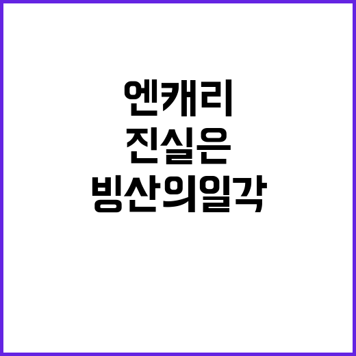 엔캐리 청산, 진실…