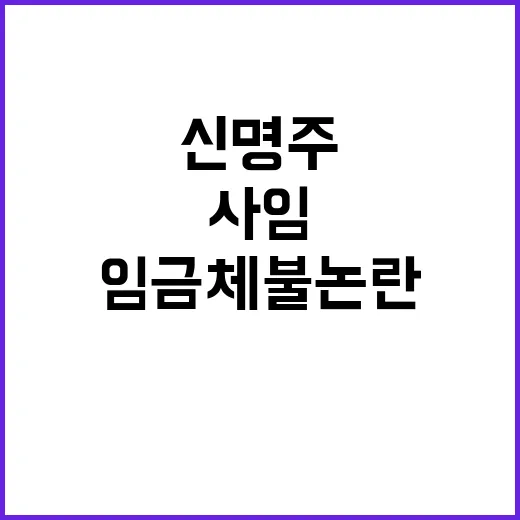 신명주 사임, 임금…