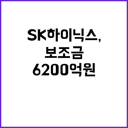 SK하이닉스, 미국…