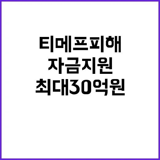 티메프 피해업체, 자금 지원 최대 30억 원!