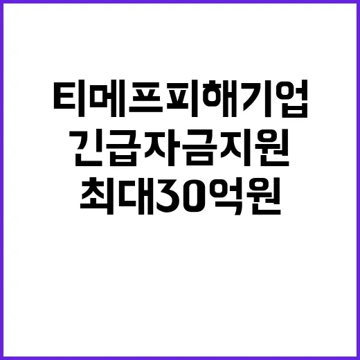 긴급자금 지원, 티메프 피해기업 최대 30억 원!