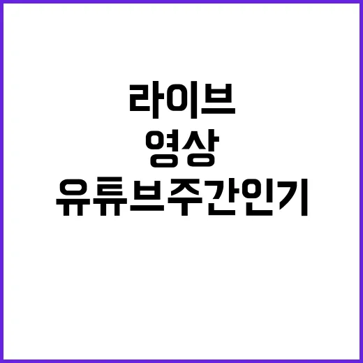 임영웅, 라이브 영…