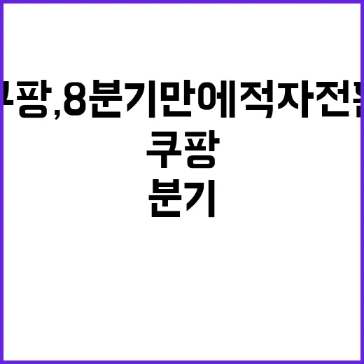 쿠팡, 8분기 만에…