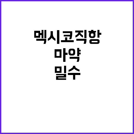 마약 밀수, 멕시코 직항노선 재개에 강력 대응!