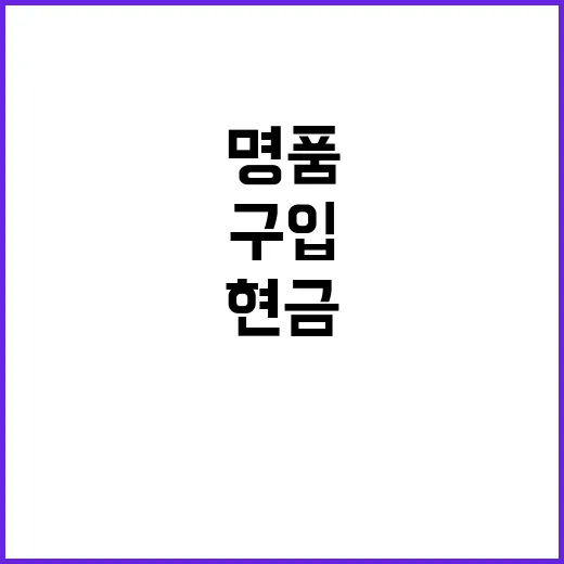 명품 구입, LH직…