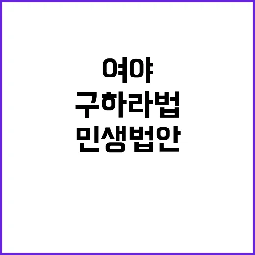 구하라법, 여야가 …