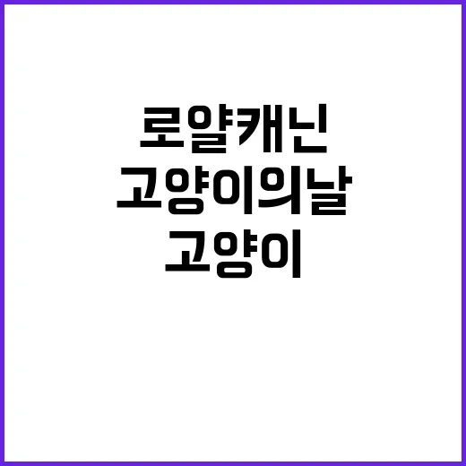 고양이의 날, 로얄…