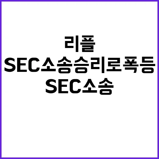 리플, SEC 소송…