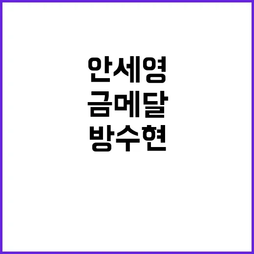 안세영 금메달, 방…