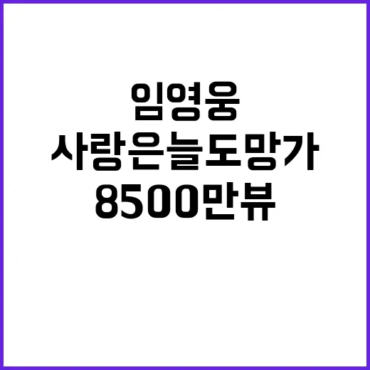 임영웅 사랑은 늘 도망가 8500만뷰 기록!