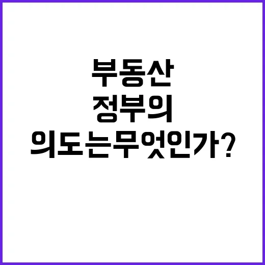 부동산 정부의 진짜…