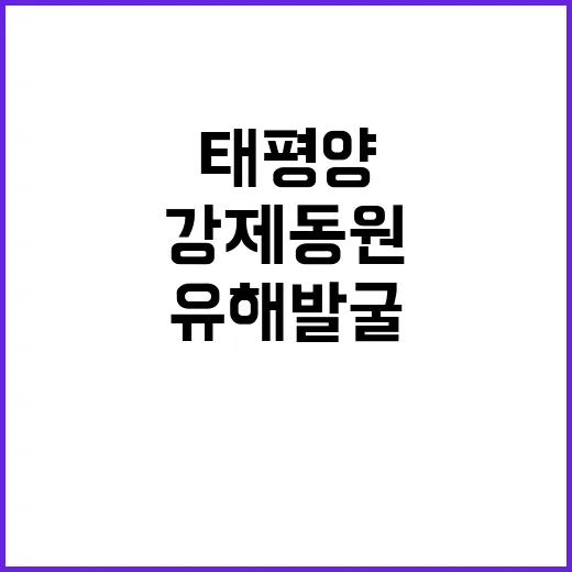 태평양 강제동원 유해 발굴 한·미 협력 시작!