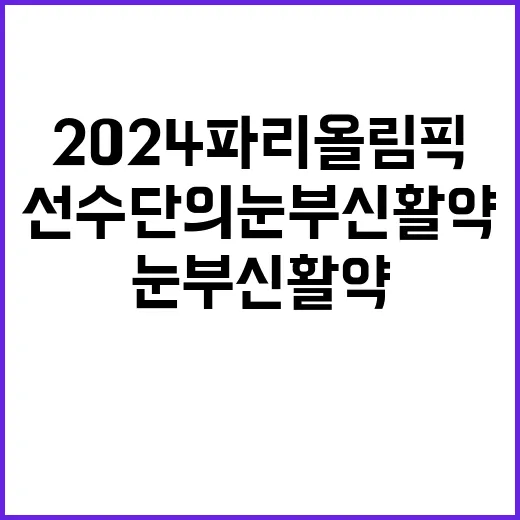 2024 파리올림픽 우리 선수단의 눈부신 활약!