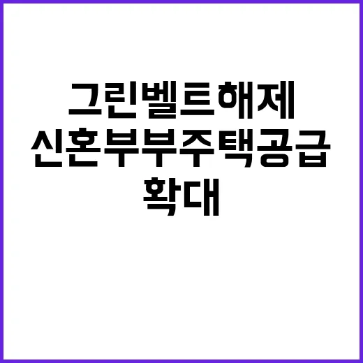 그린벨트 해제 신혼…